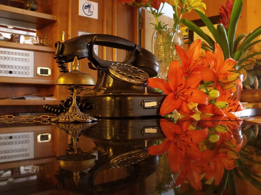 קדרצונה Hotel Regina Elena מראה חיצוני תמונה